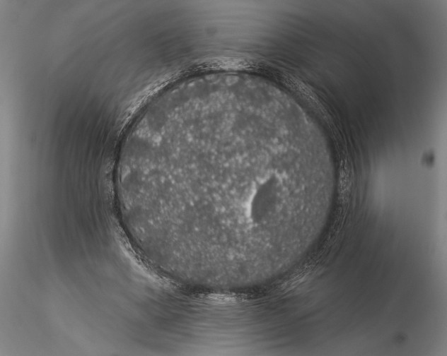 X0000116040394200912111444