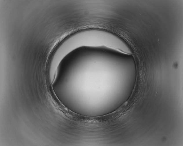 X0000116040395200912111444