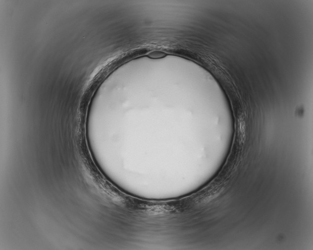 X0000116040396200912111444