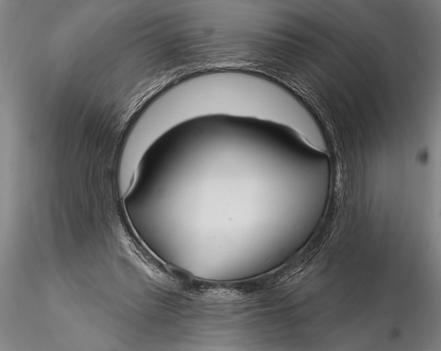 X0000116040397200912111444