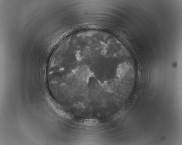 X0000116040398200912111444