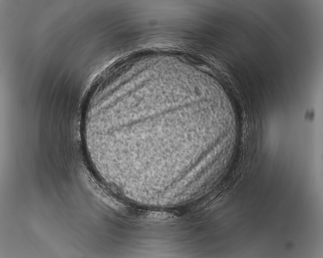 X0000116040399200912111444