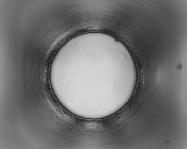 X0000116040400200912111444