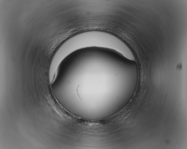 X0000116040401200912111444