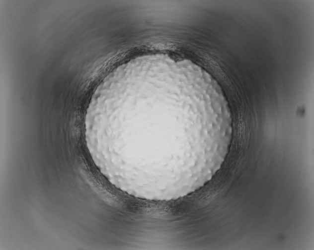 X0000116040402200912111444