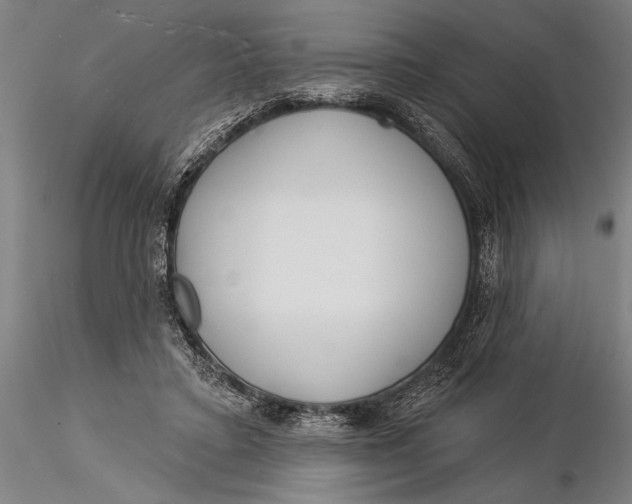 X0000116040403200912111444