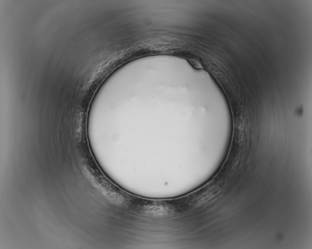 X0000116040404200912111444