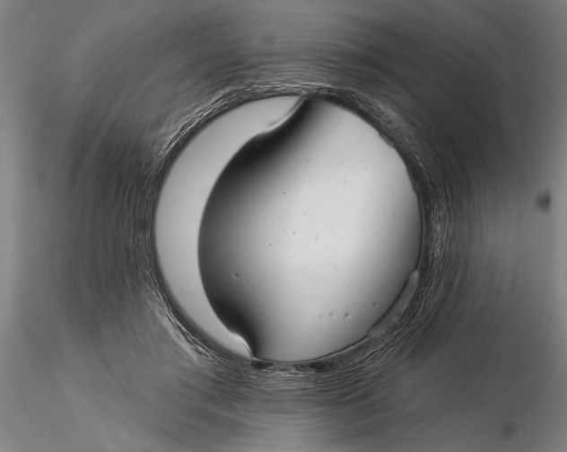 X0000116040405200912111444