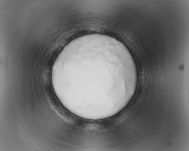 X0000116040408200912111444