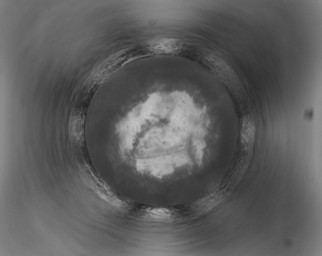 X0000116040409200912111444