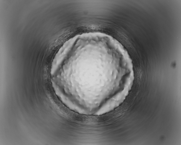 X0000116040410200912111444
