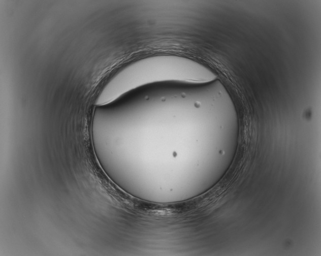 X0000116040411200912111444
