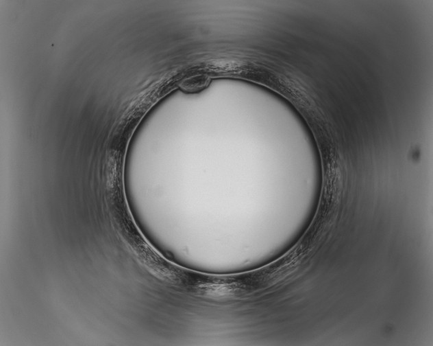 X0000116040412200912111444