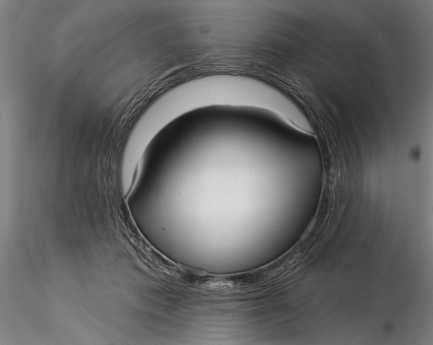 X0000116040413200912111444