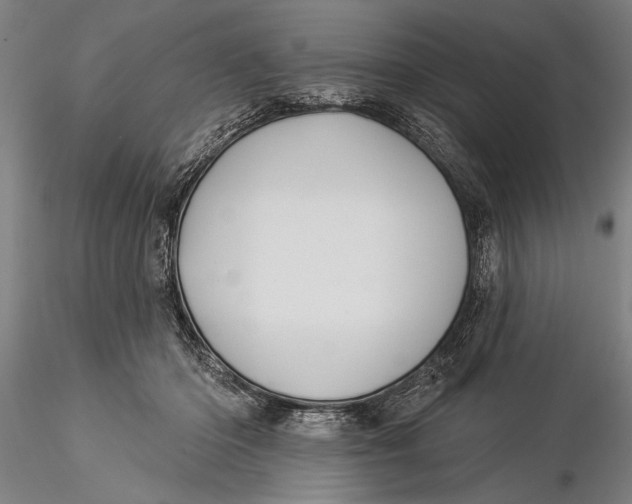 X0000116040414200912111444