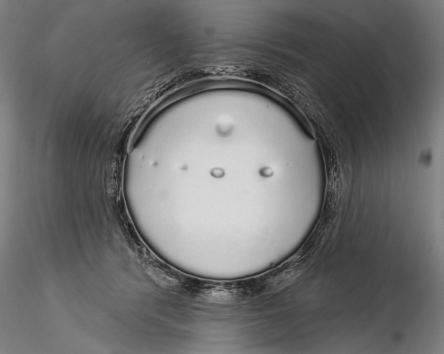 X0000116040416200912111444