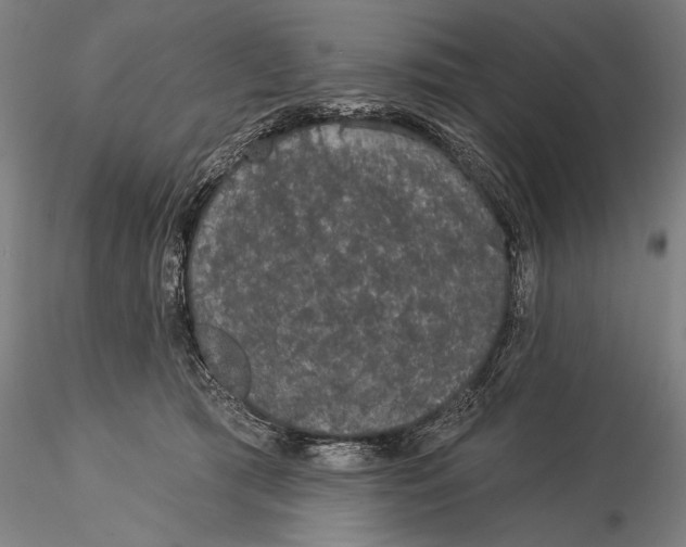 X0000116040417200912111444