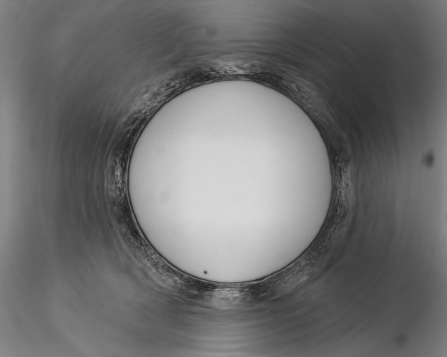 X0000116040418200912111444