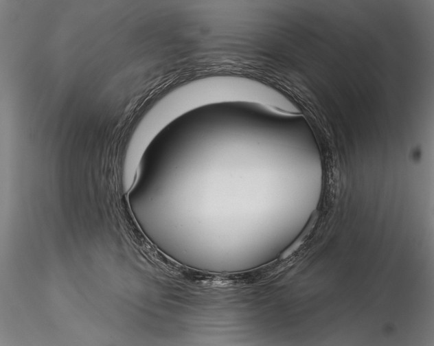 X0000116040419200912111444