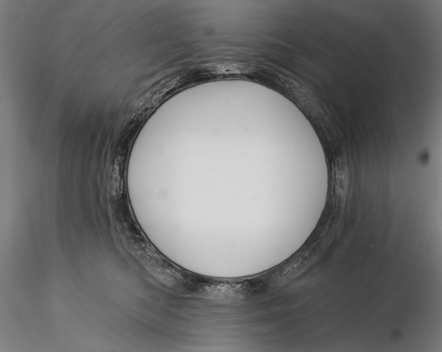 X0000116040422200912111444