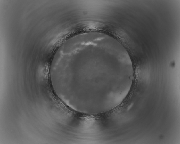 X0000116040423200912111444