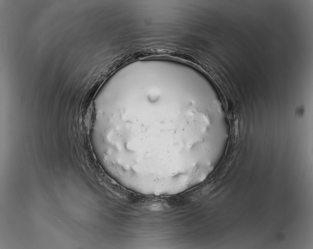 X0000116040424200912111444