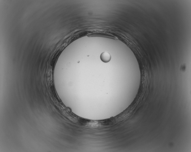 X0000116040425200912111444