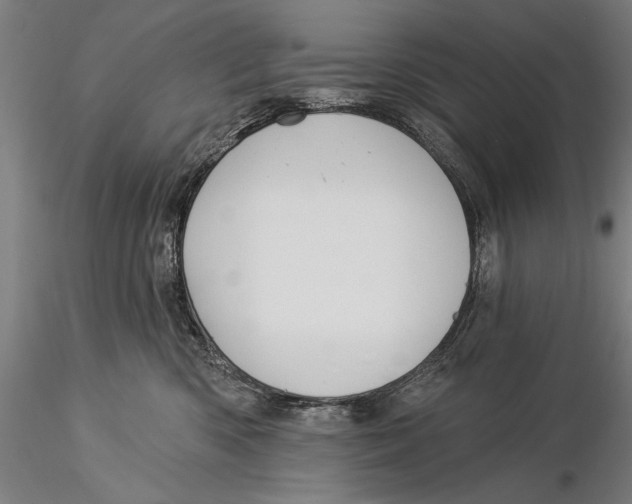 X0000116040426200912111444