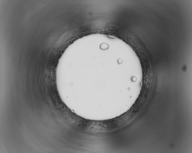 X0000116040427200912111444