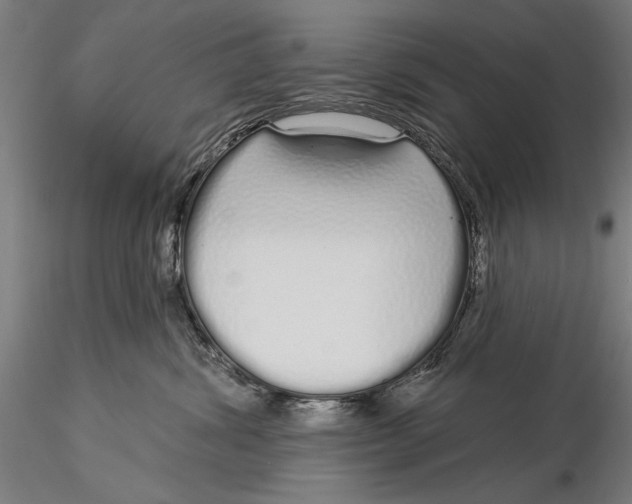 X0000116040428200912111444