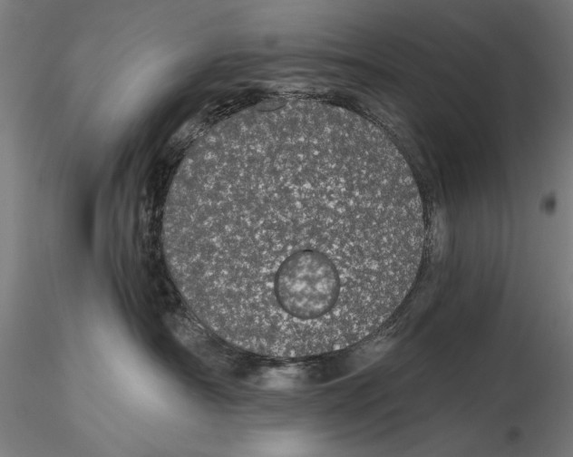 X0000116040430200912111444