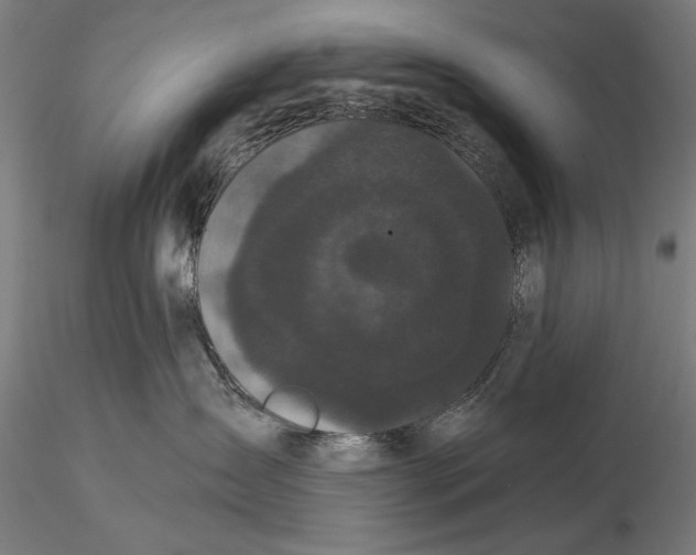 X0000116040431200912111444