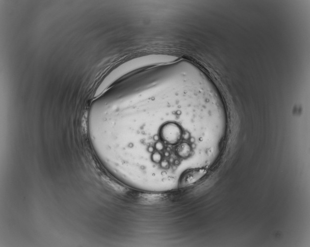 X0000116040432200912111444