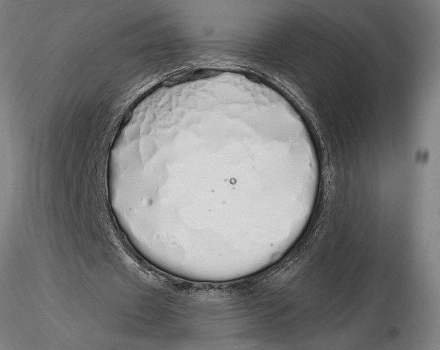 X0000116040433200912111443