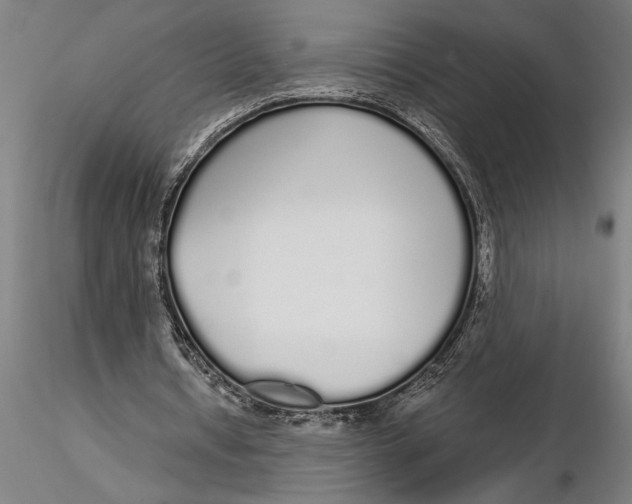 X0000116040434200912111443