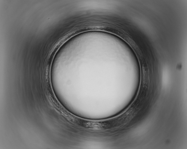 X0000116040435200912111443