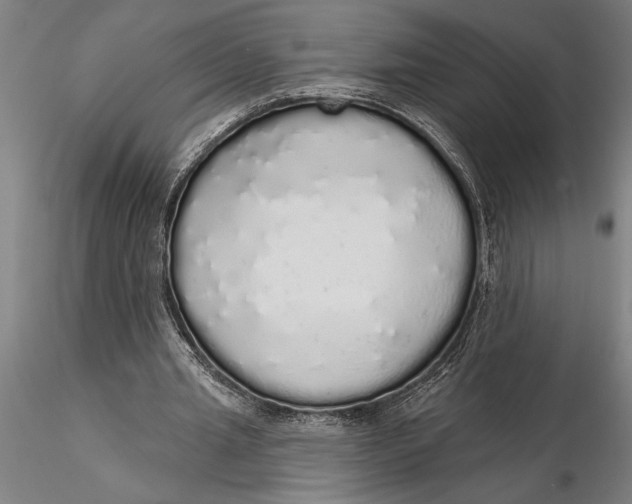 X0000116040437200912111443