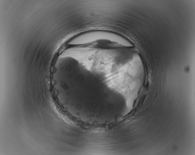 X0000116040438200912111443