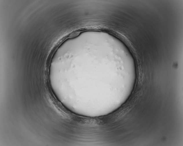 X0000116040439200912111443