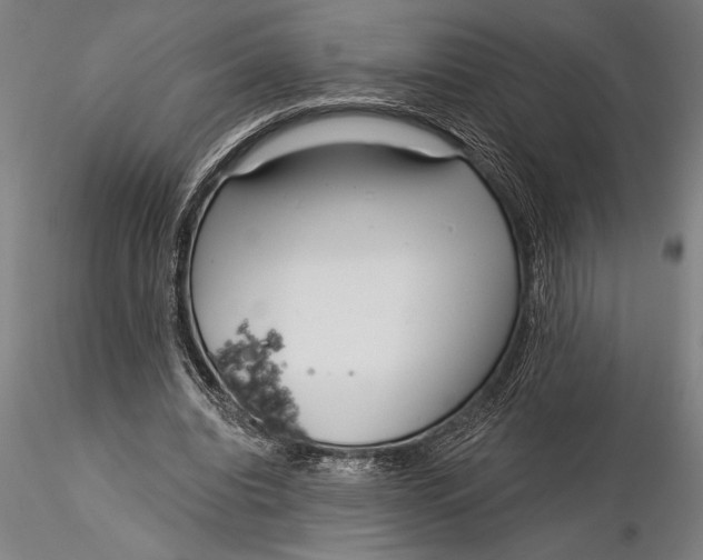 X0000116040440200912111443