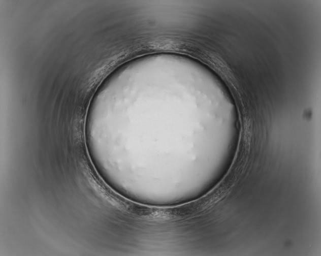 X0000116040441200912111443