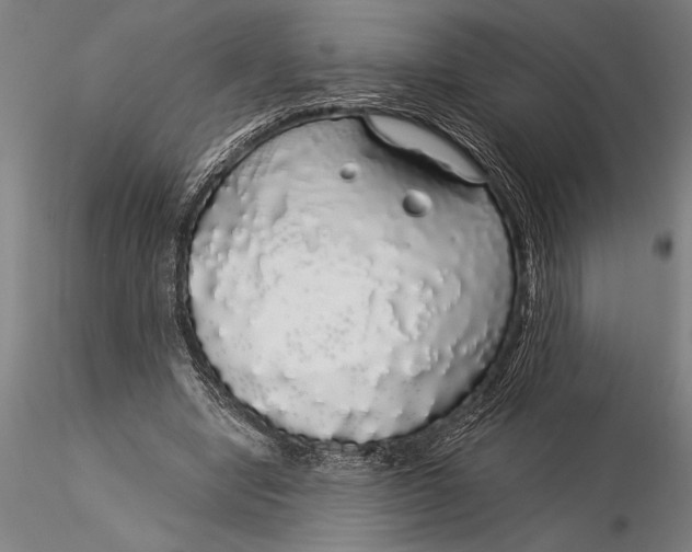 X0000116040442200912111443