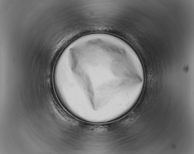 X0000116040443200912111443