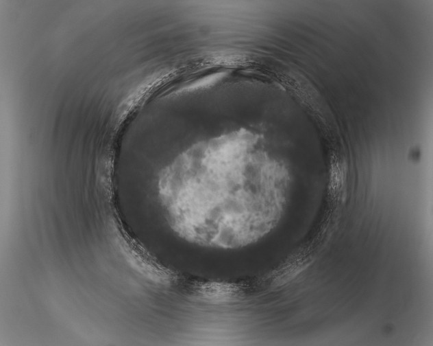 X0000116040444200912111443