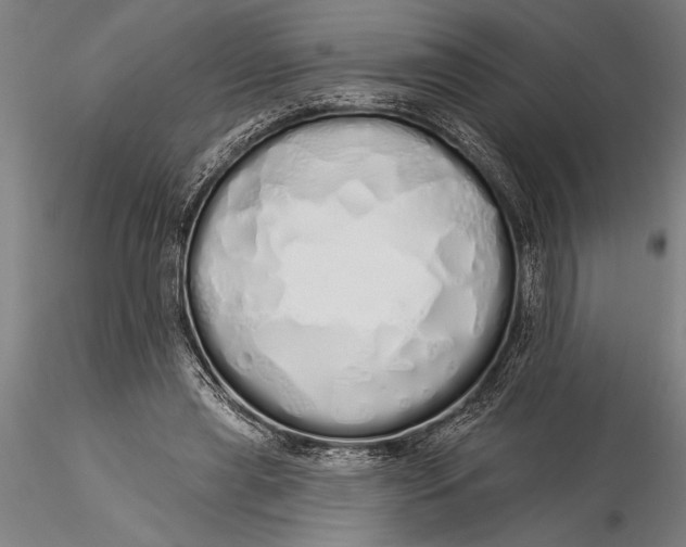 X0000116040445200912111443