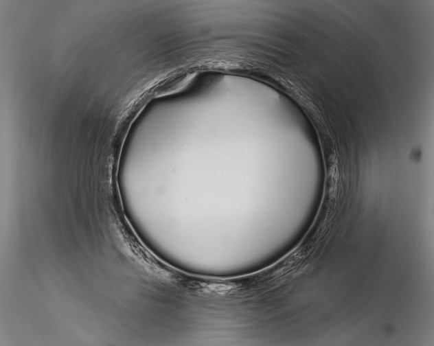 X0000116040446200912111443