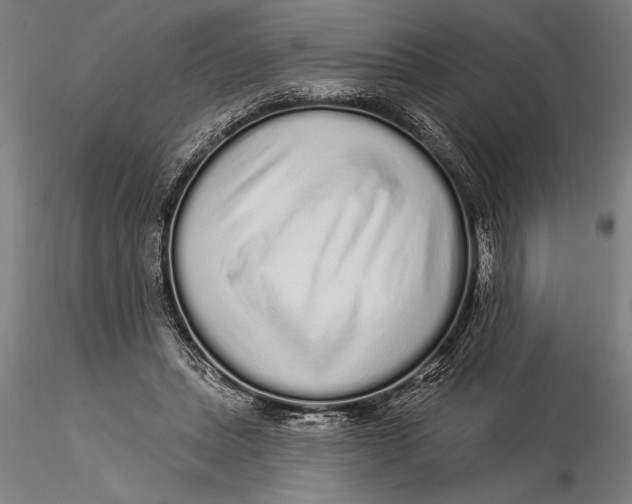 X0000116040447200912111443