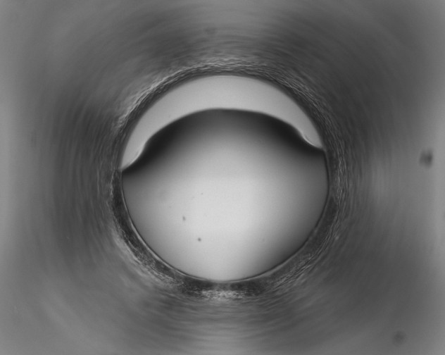 X0000116040448200912111443