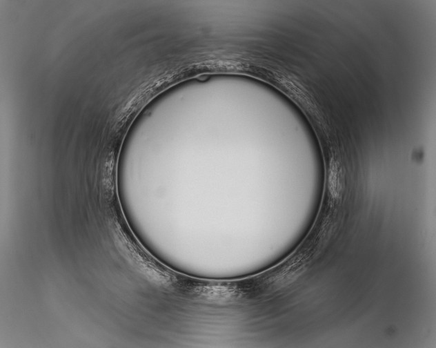 X0000116040449200912111443