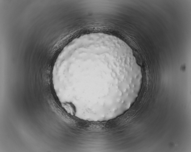 X0000116040450200912111443